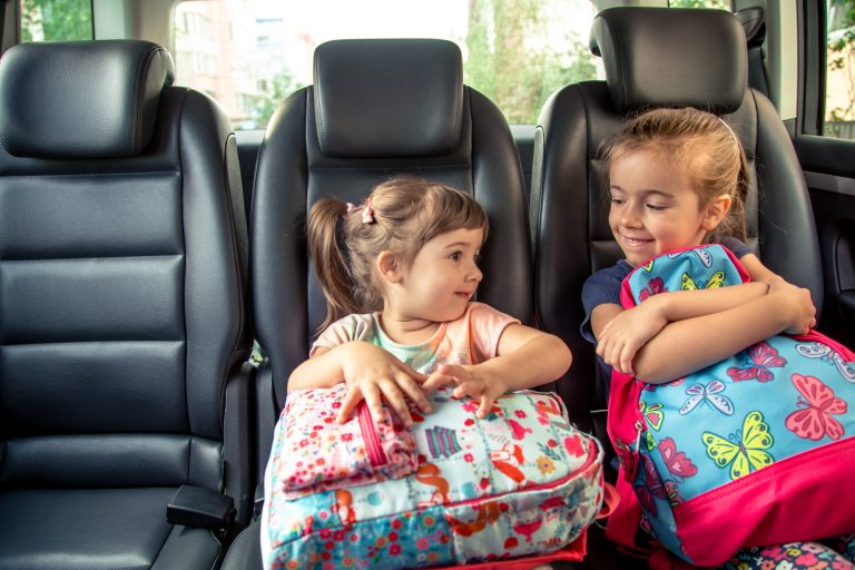 How a child seat protector adds comfort to the journey of a youngster