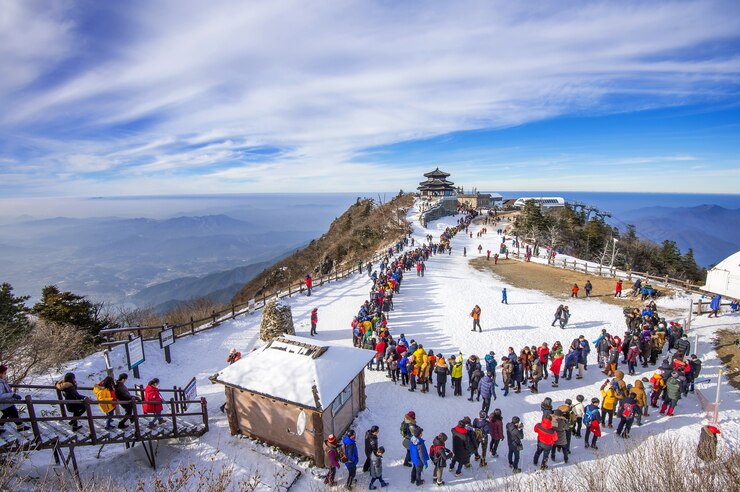 Mardi Himal & Langtang Valley trek: A Travel Himalayan Vistas